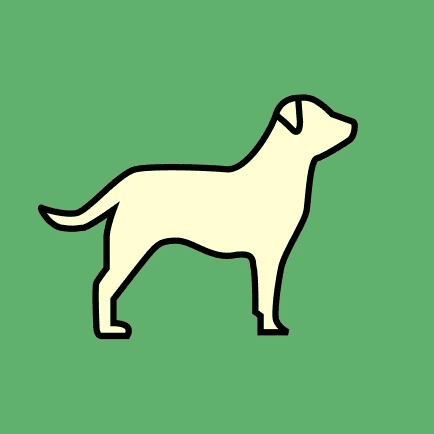 Samaritan Scout